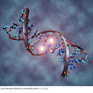 DNA Fragmentation Webinar