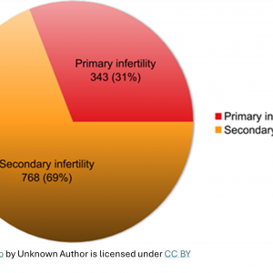 Webinar - Secondary Fertility